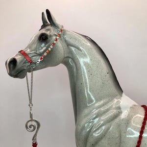 Totally Tangerine Arabian Halter Set