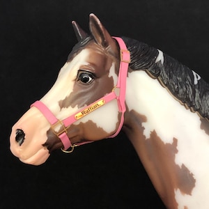 Personalized Leather Halters - Pinks, Reds, & Oranges