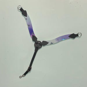 Sternenklares holografisches Brustband