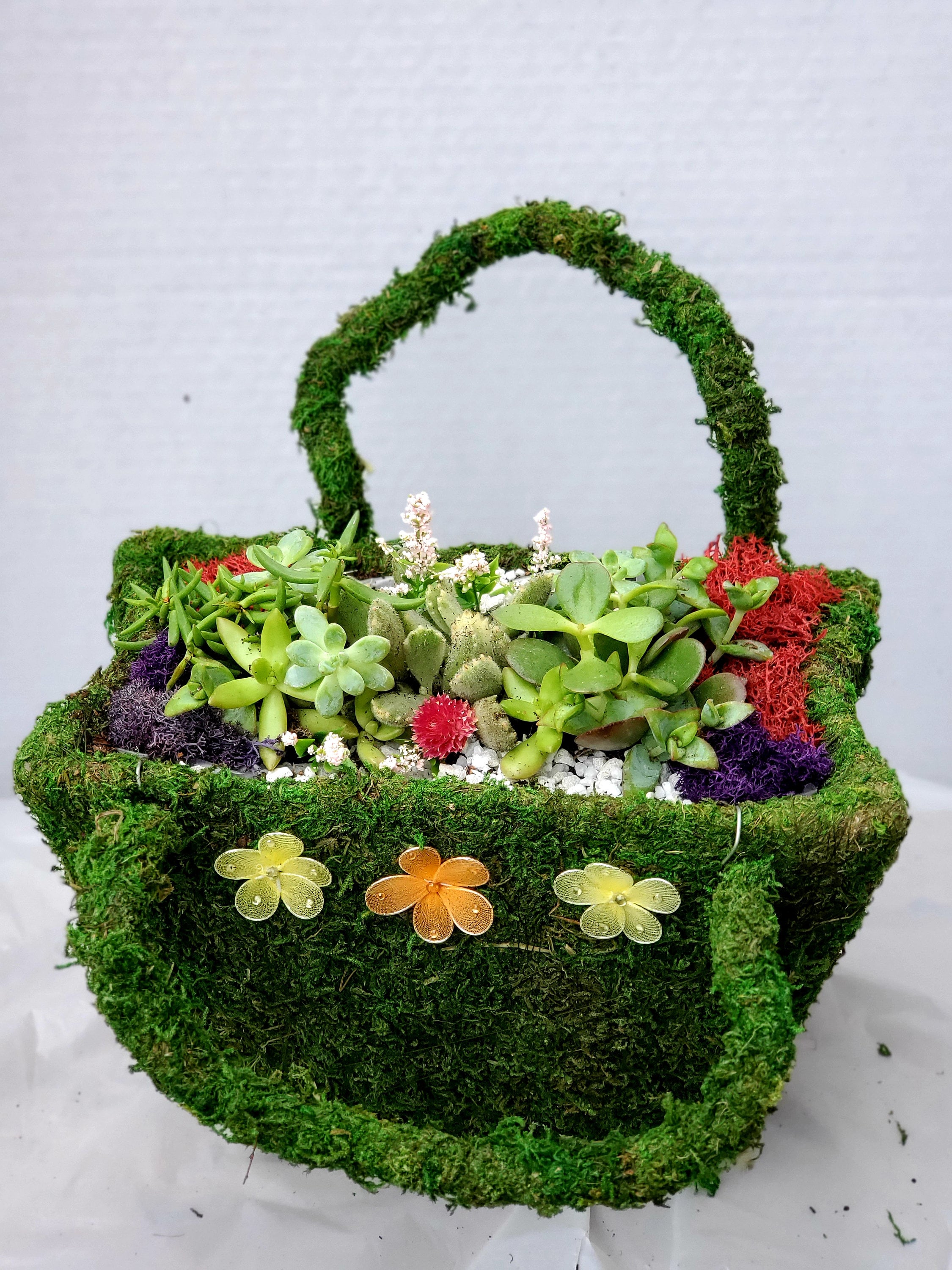 Preserved Green Moss Basket With Succulents Arrangement Etsy