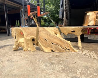 Exotischer Guanacaste Wurzeltisch Konsole Lang 3m