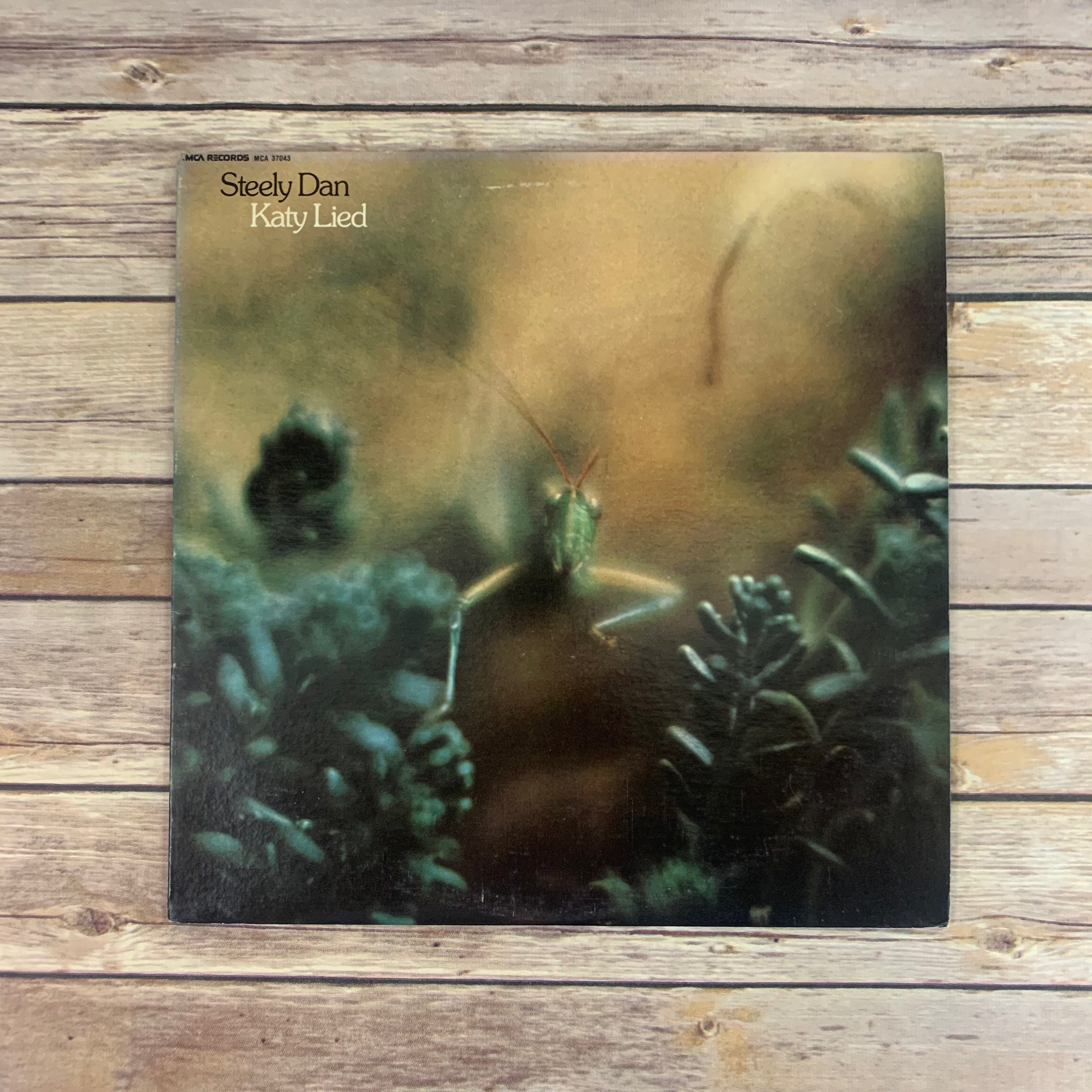 Steely Dan Katy Lied 1980 vintage vinyl record LP Etsy