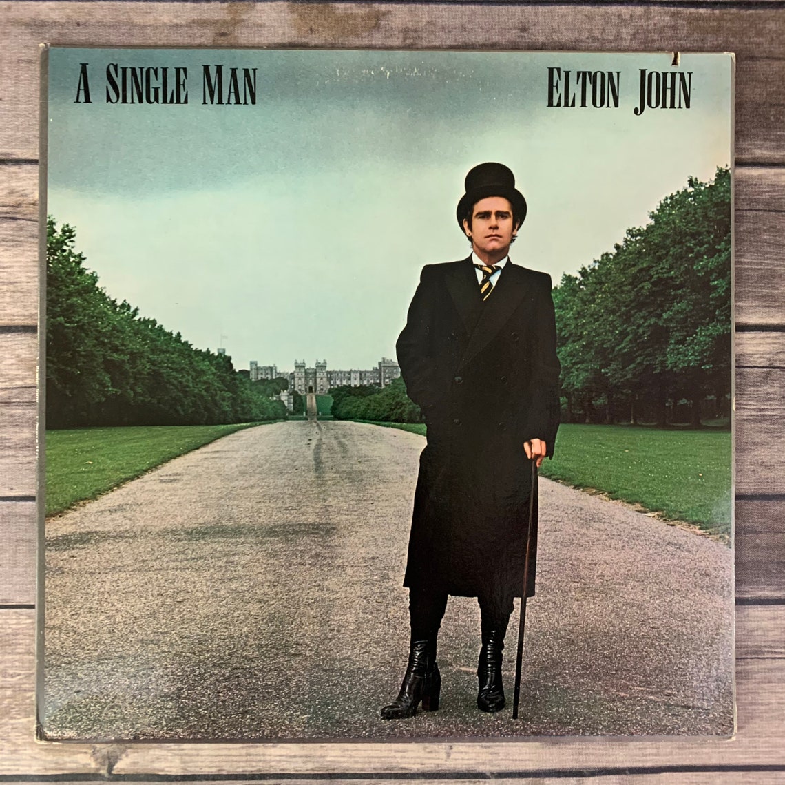 Elton John A Single Man 1978 vintage vinyl record LP Etsy