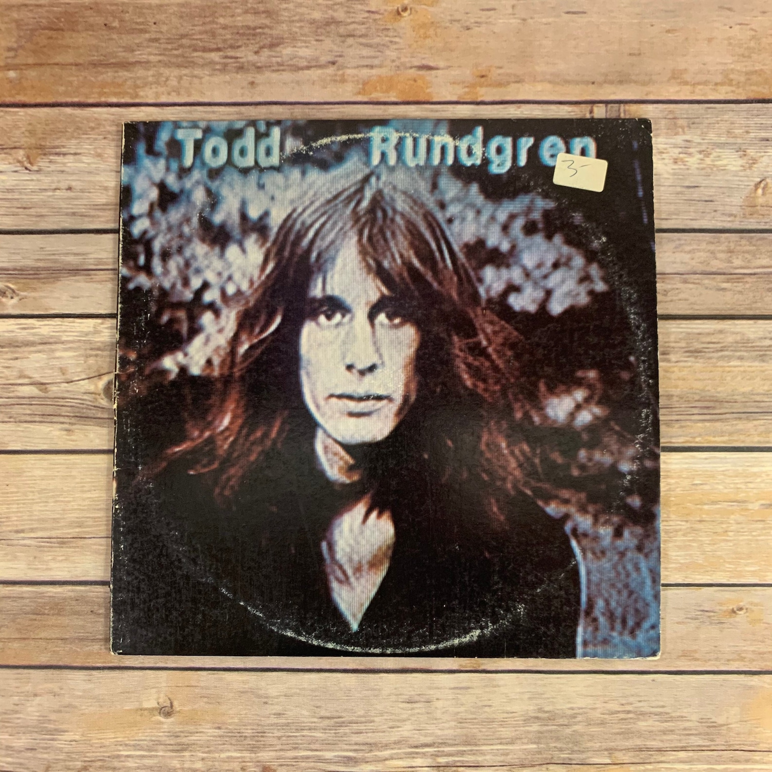 Todd Rundgren Hermit of Mink Hollow 1978 vintage vinyl | Etsy