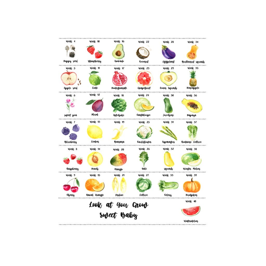 Fetal Growth Chart Fruit