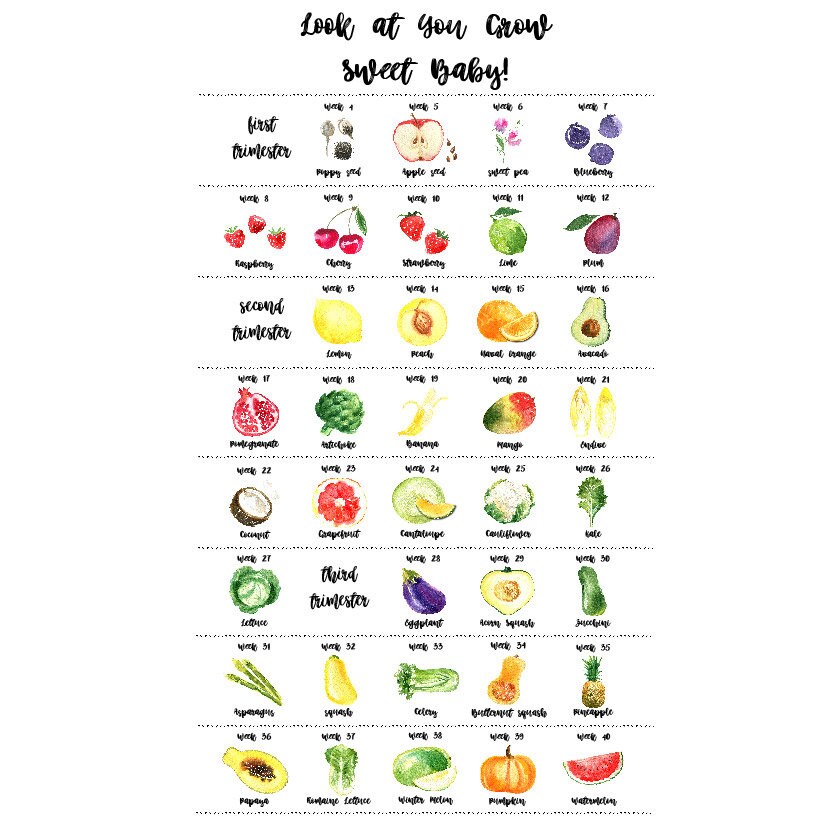 Wall Decor Baby Growth Chart Nursery Decor Nursery Wall Etsy