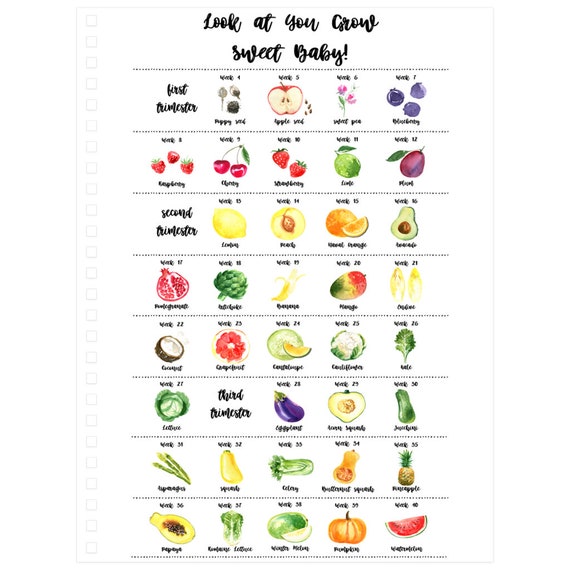 Pregnancy Fruit Chart