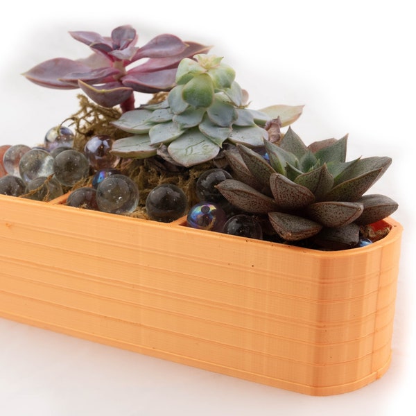 Spooky Halloween Orange Candy Corno Succulente Titolare