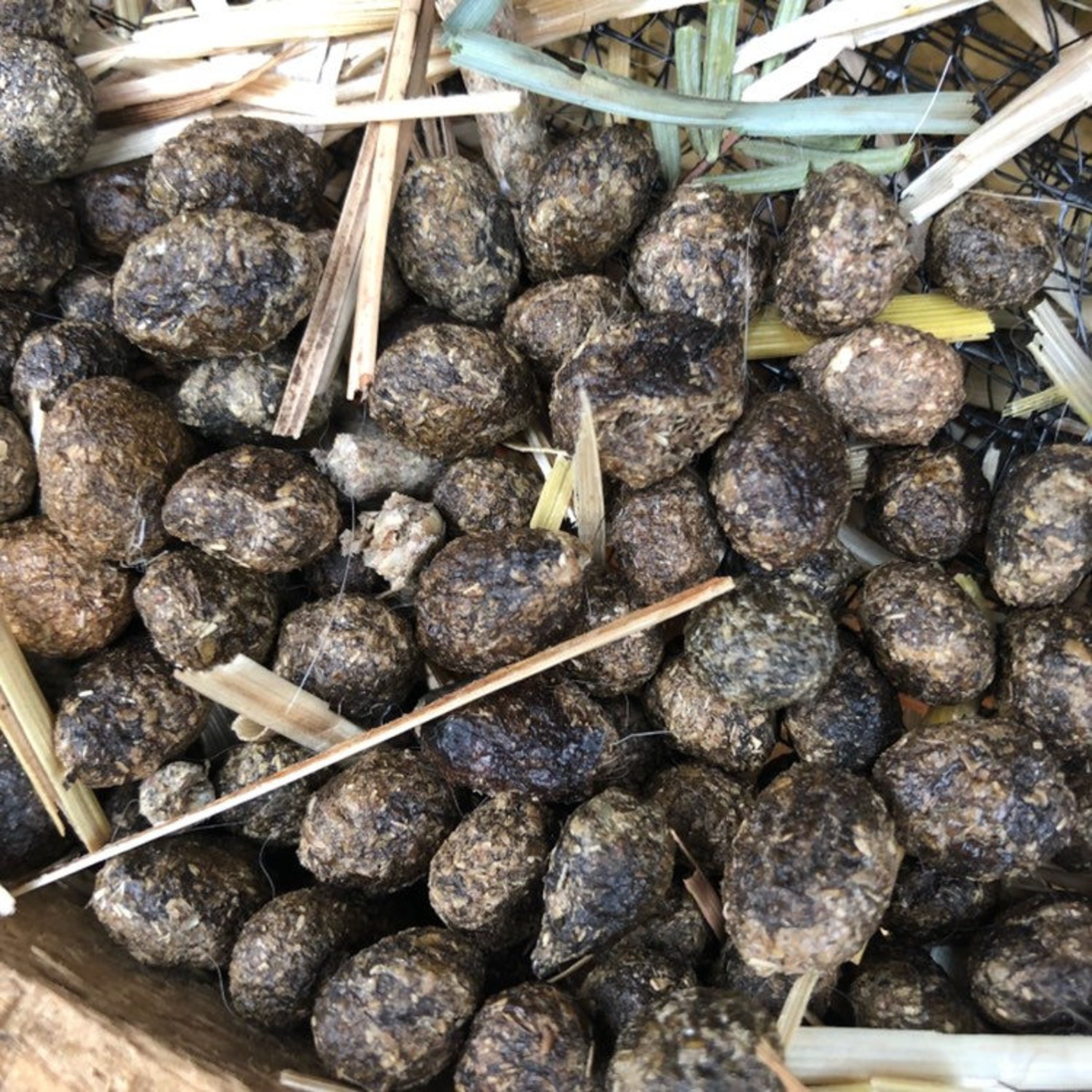 Rabbit Manure Organic Garden Fertilizer Dried Bunny Dung Poop | Etsy
