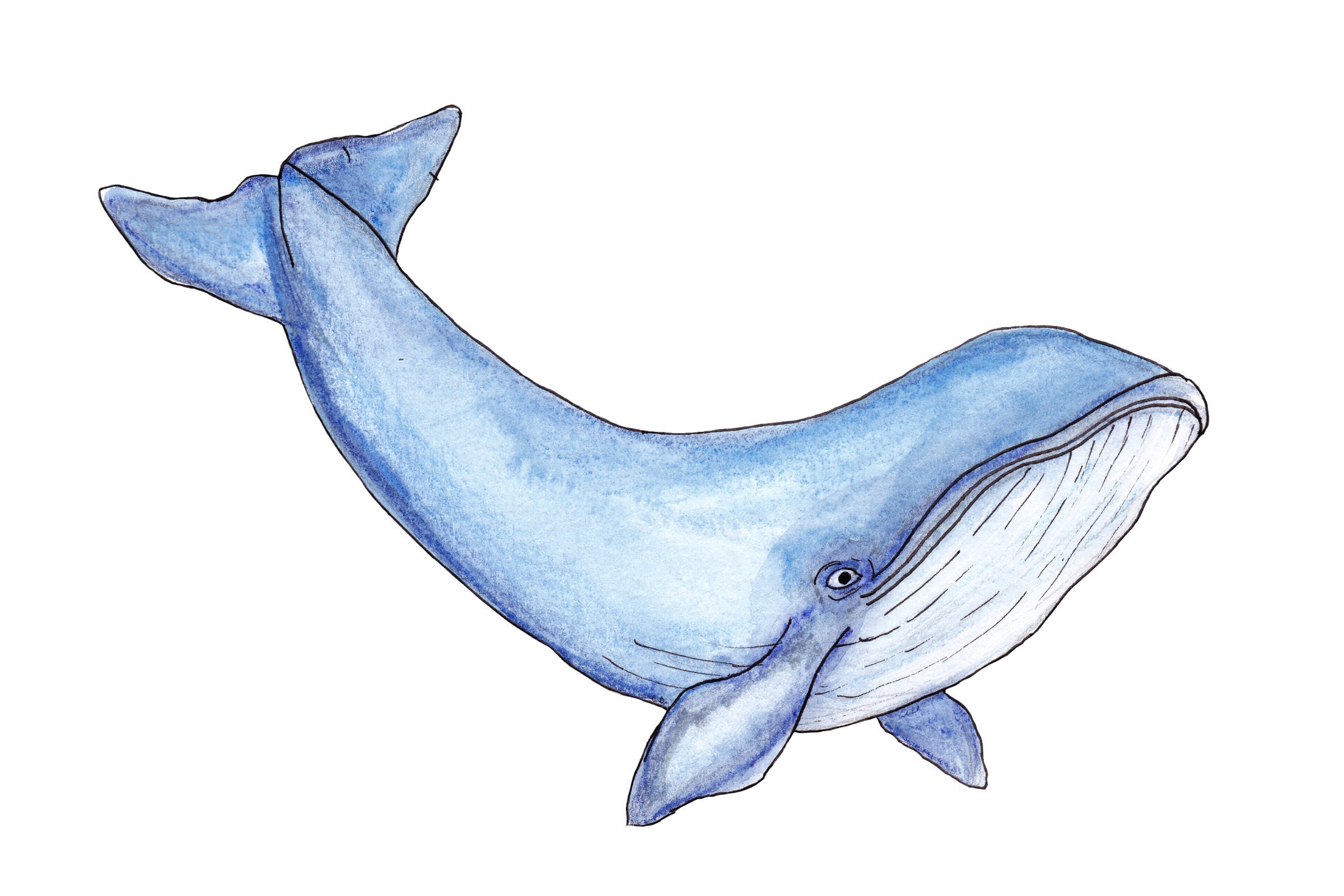 Blauwal Kinder Schlafzimmer nautische Dekor. Jungen Zimmer | Etsy