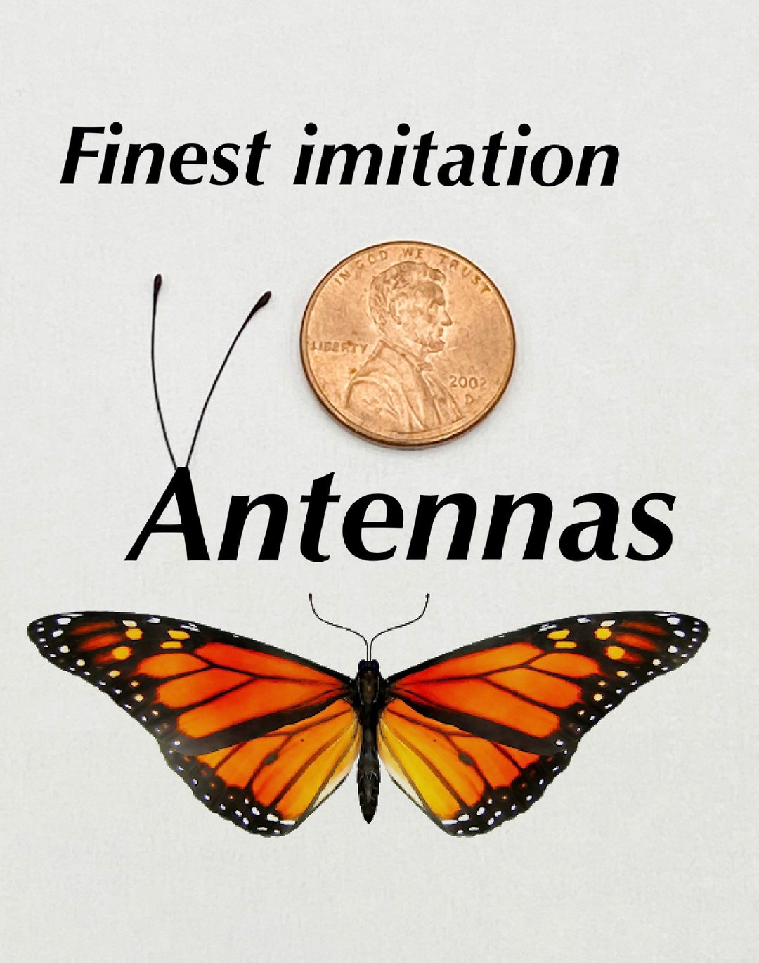 10 Pair Realistic Butterfly Antennas Unmounted. Perfect for Most Insect