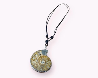 Ammonite fossil adjustable Necklace in silver. Adjustable cord jewelry. pendant