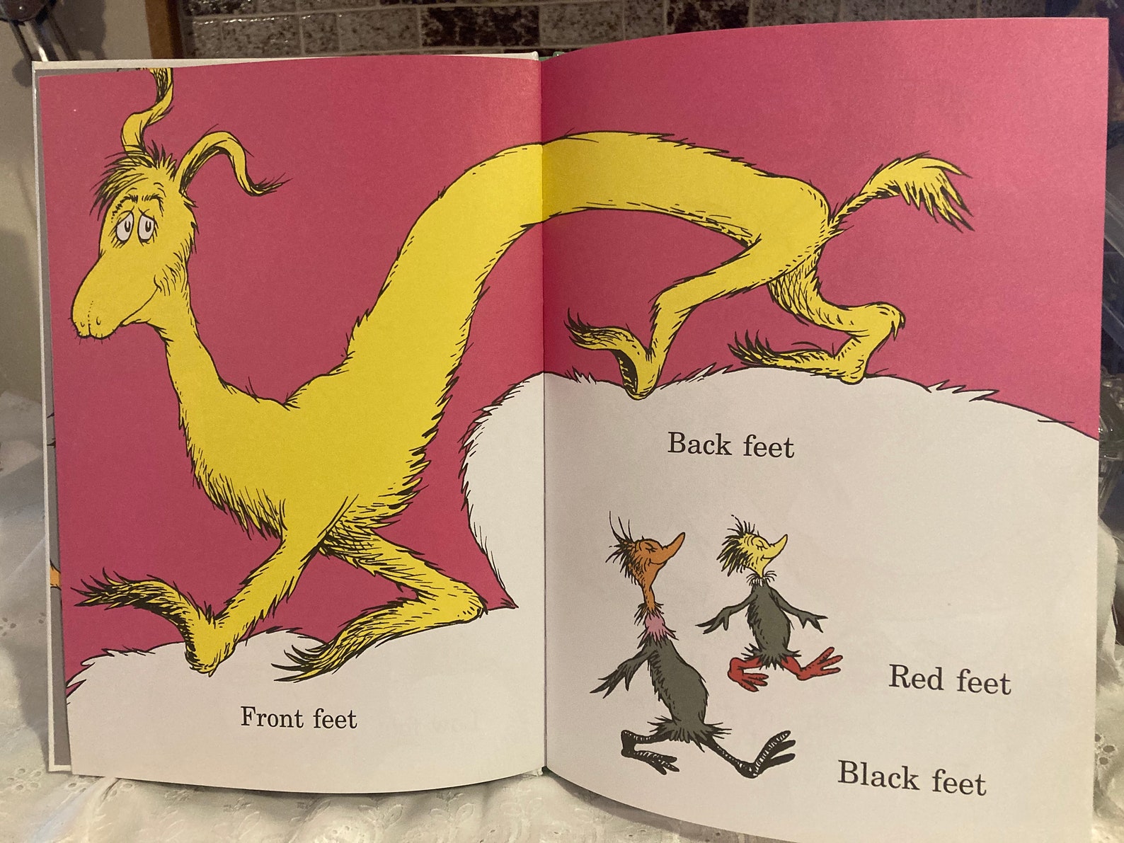the foot book book the foot book book