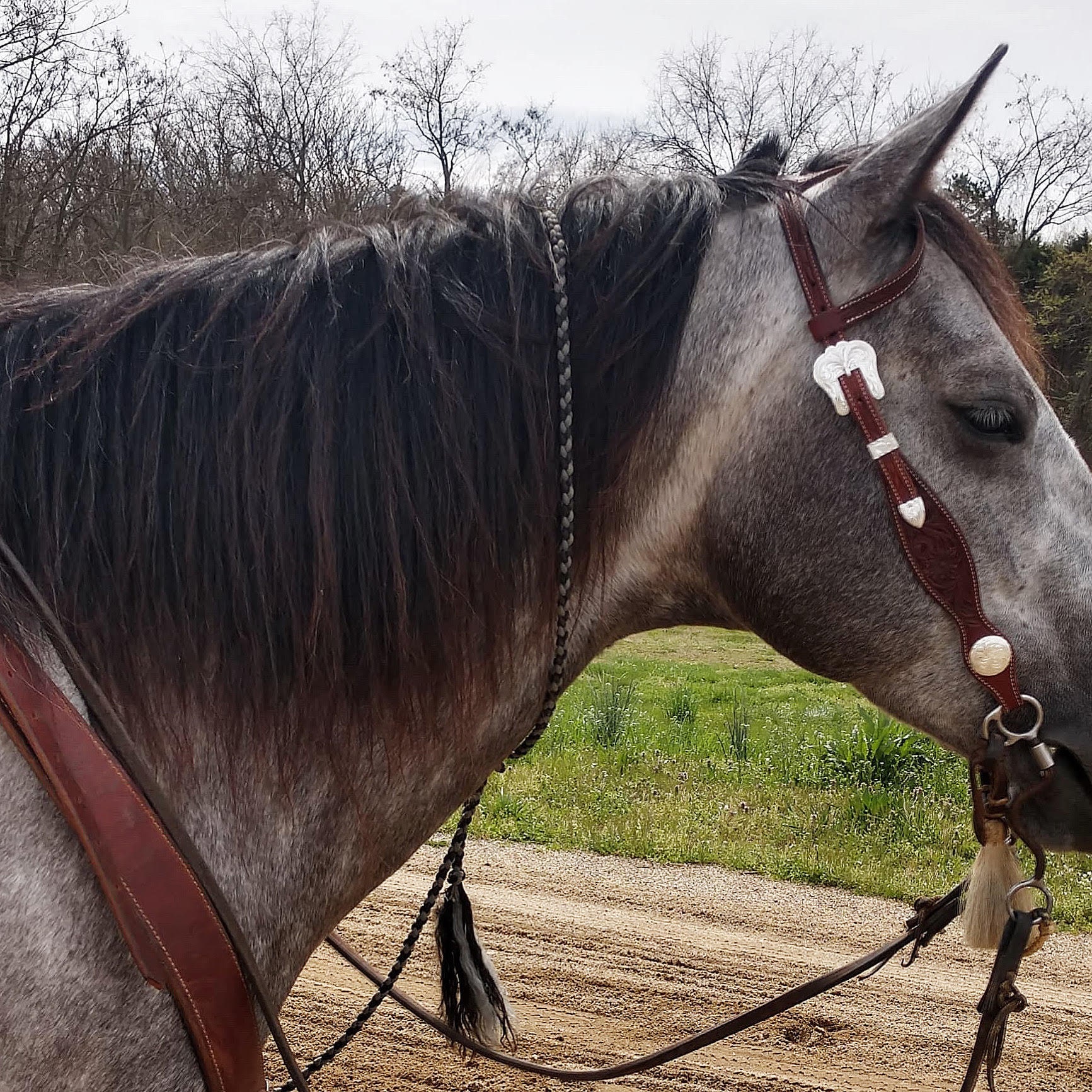 Get Down Rope/Tie Down Rope/Rope/Horse Tack Etsy