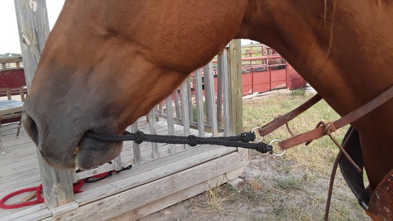 War bridle cheap
