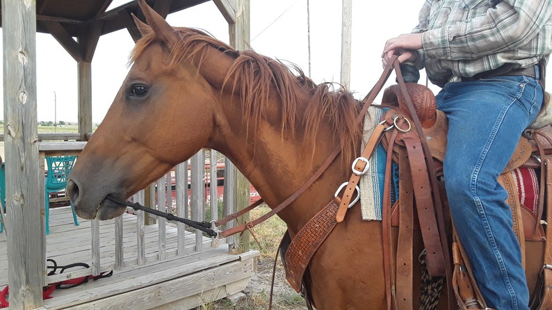 Paracord War Bridle/ Indian War Bridle/ Braided War Bridle | Etsy