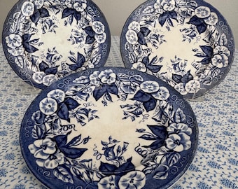 Set of Two French Blue White Floral Plates - Marked Bordeaux David Johnston circa 1895