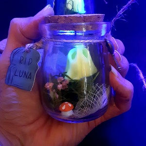 Adopt a ghost, glow in the dark mini ghost in a jar, ghost in a bottle, Apothecary bottle, trapped ghost in bottle, Halloween gift