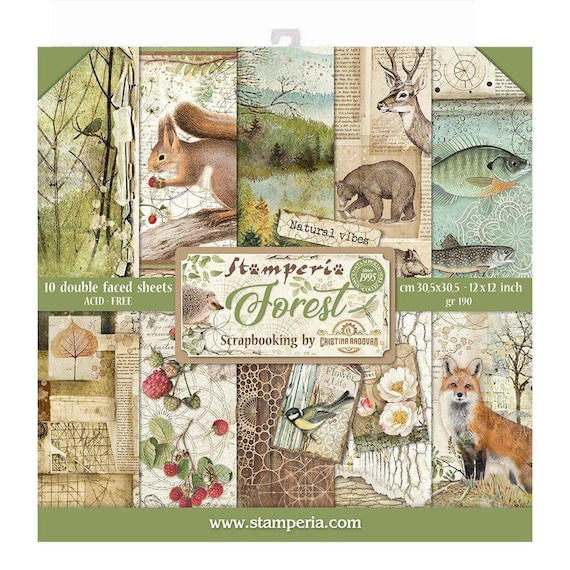 CLOCKWISE Collection PAPER CRAFTING 12x12 Inch Paper Pack STAMPERIA SBBL39 New