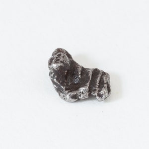Campo del Cielo Meteorite
