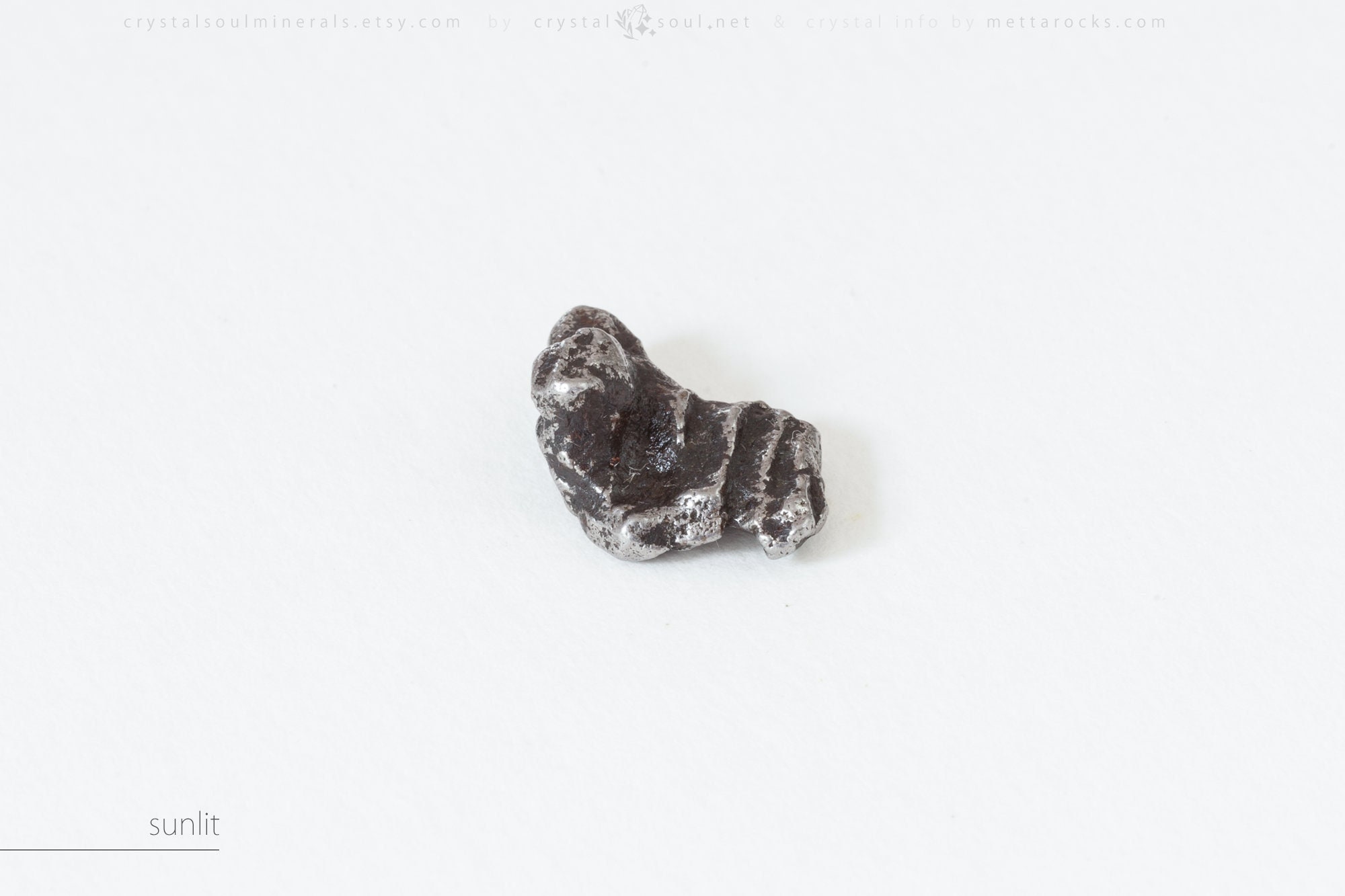 Campo del Cielo Meteorite