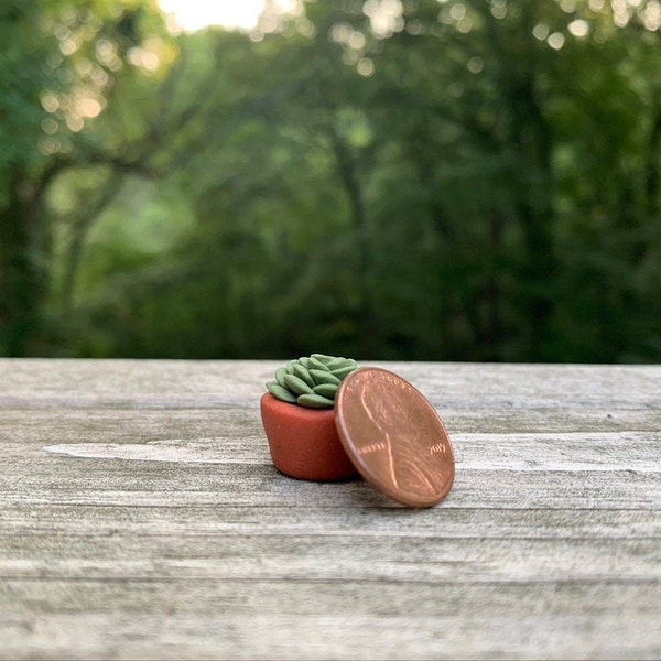 Miniature Polymer Clay Potted Succulent - Style #1