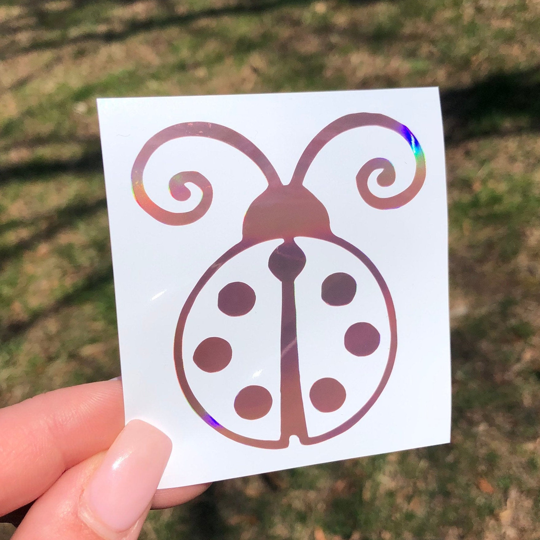 Ladybug Sticker Ladybug Decal Insect Car Window Decal Etsy