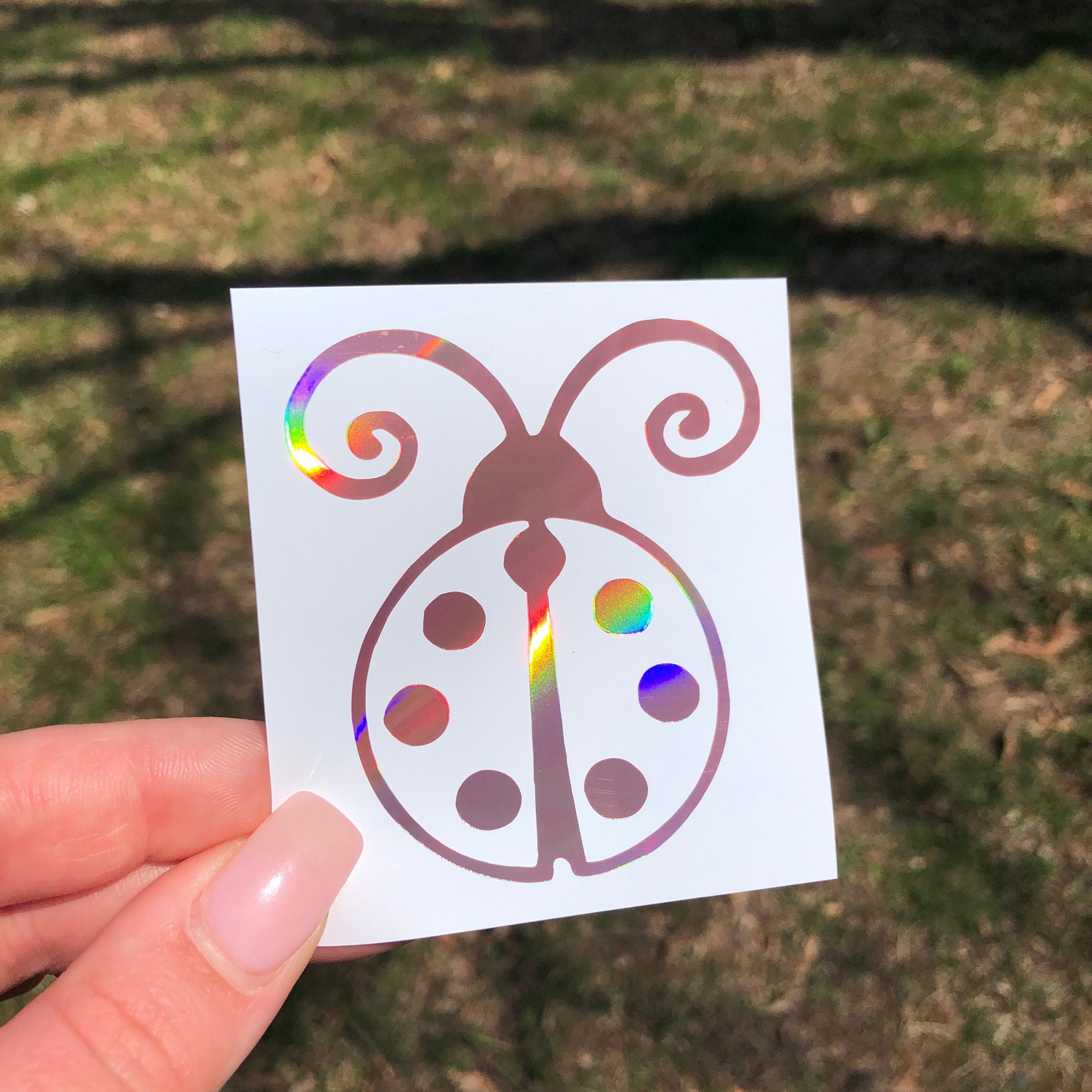 Ladybug Car Rental - kajuwow