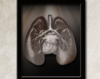 Human Lungs Wall Art - Human Lungs Print - Vintage Anatomy Wall Art - Vintage Human Anatomy Illustration - INSTANT DOWNLOAD - Image#701