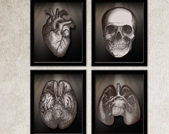 May include: Four black-framed wall art prints featuring detailed anatomical illustrations of a human heart, a skull, a brain, and lungs. The text LizDesignGraphics-7 is centered above the collection, which is displayed on a textured background.