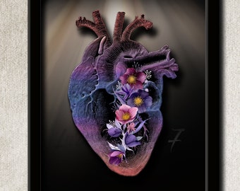 Human Heart Wall Art - Human Heart Print - Vintage Anatomy Wall Art - Vintage Human Anatomy Illustration - INSTANT DOWNLOAD - Image#707