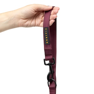 Adjustable Soft Nylon Dog Leash | Walk two dogs at once, hands-free, or as a temporary tie out | Lifetime Replacement Guarantee