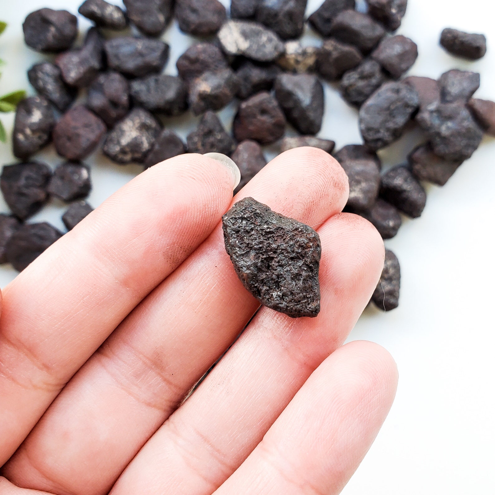 Set of 4 RARE Raw Lodestone Crystals Natural Rock Etsy