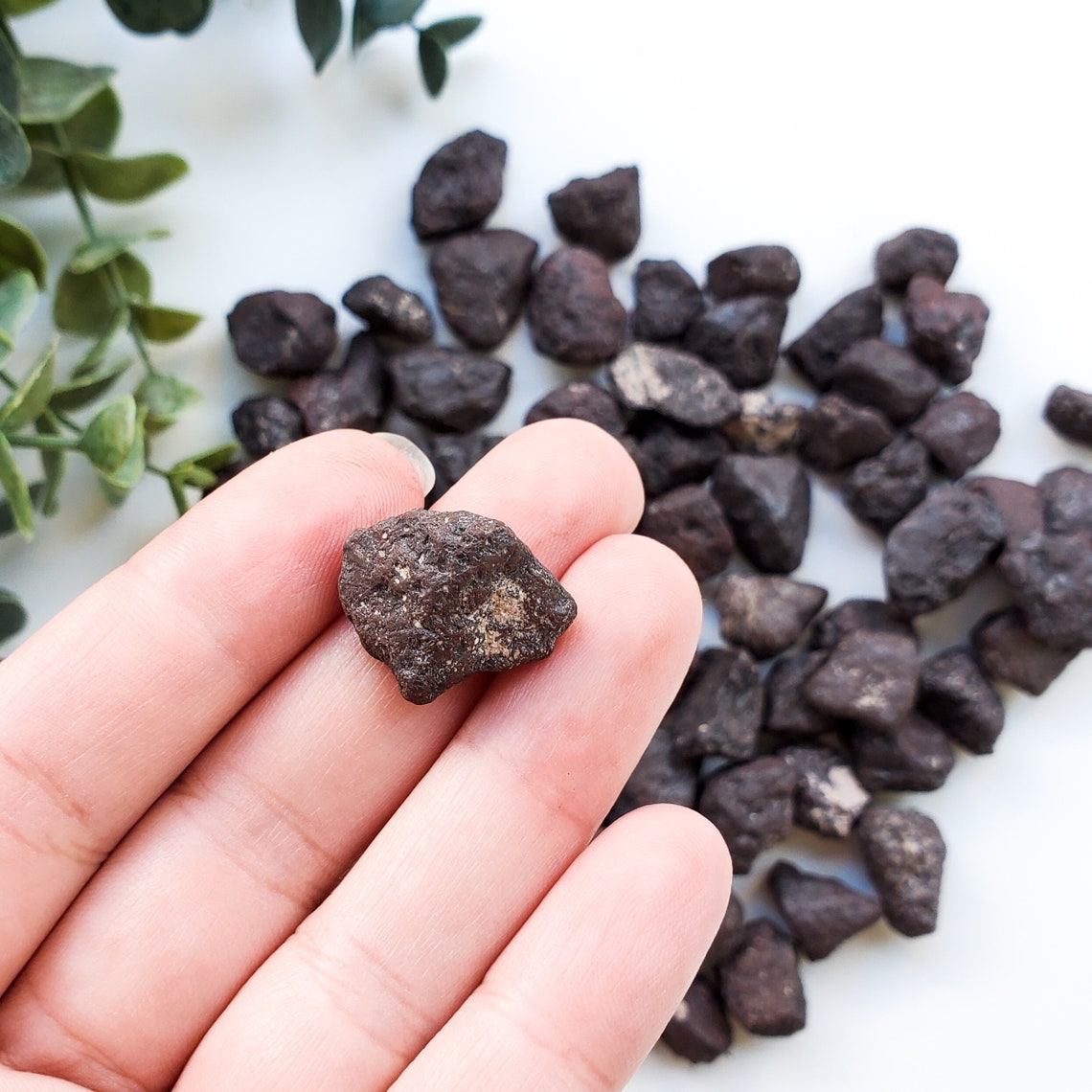 Set of 4 RARE Raw Lodestone Crystals Natural Rock Etsy