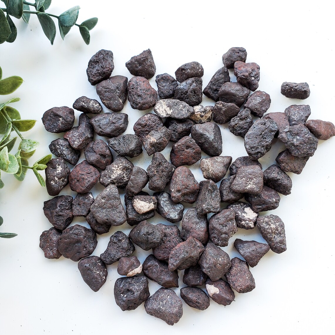 Set of 4 RARE Raw Lodestone Crystals Natural Rock Etsy