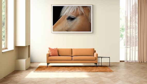 Flaxen Chestnut : The Golden Mane Guide