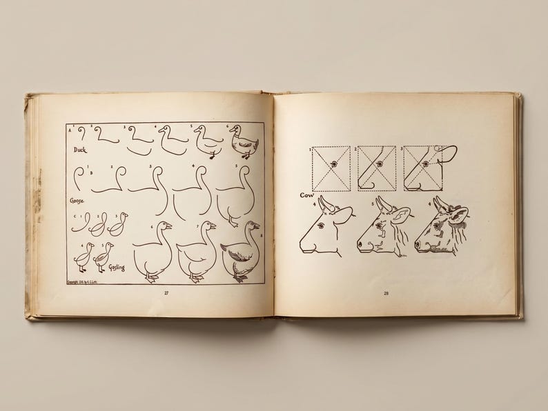 May include: An open book displaying vintage illustrations. One page has step-by-step drawings of ducks and geese, labelled "Duck" and "Goose". The facing page shows cow head drawings, labelled "Cow". The book has aged, yellowed pages.