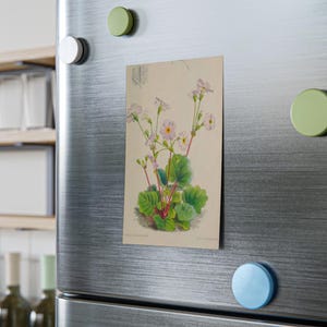 Sticky Notes Pad, Post-it®, Flower Sticky Notes, Floral Memo Pads, Office Supplies, Junk Journal Ephemera, Tea & Bachelorette Party Favors