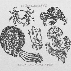 May include: A set of five black and white line drawings of sea creatures. The creatures include a crab, a jellyfish, a squid, and two types of ammonites.