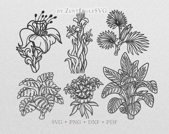 Tropical Flowers Svg. Tropical Leaves Svg. Cricut, Silhouette cut file. Svg, Png, Dxf files for printing, vinyl cutting, decal, sticker.
