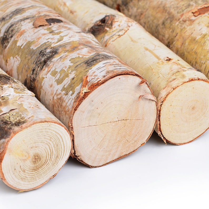 6 Pack Large White Birch Logs for Fireplace Unfinished ...