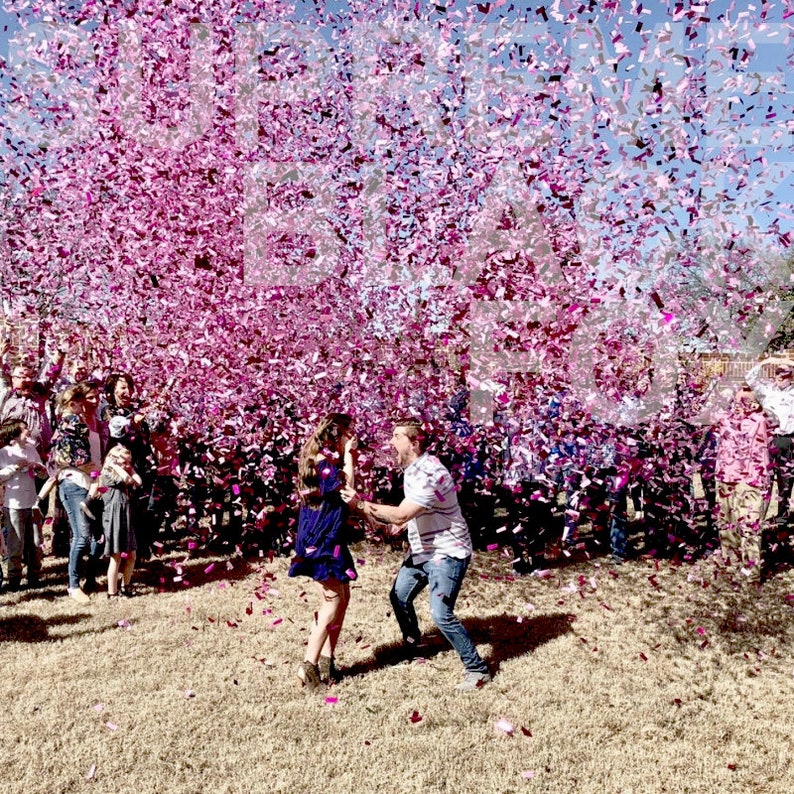 Gender Reveal Confetti Cannon Girl female She Her Pink Boy Etsy