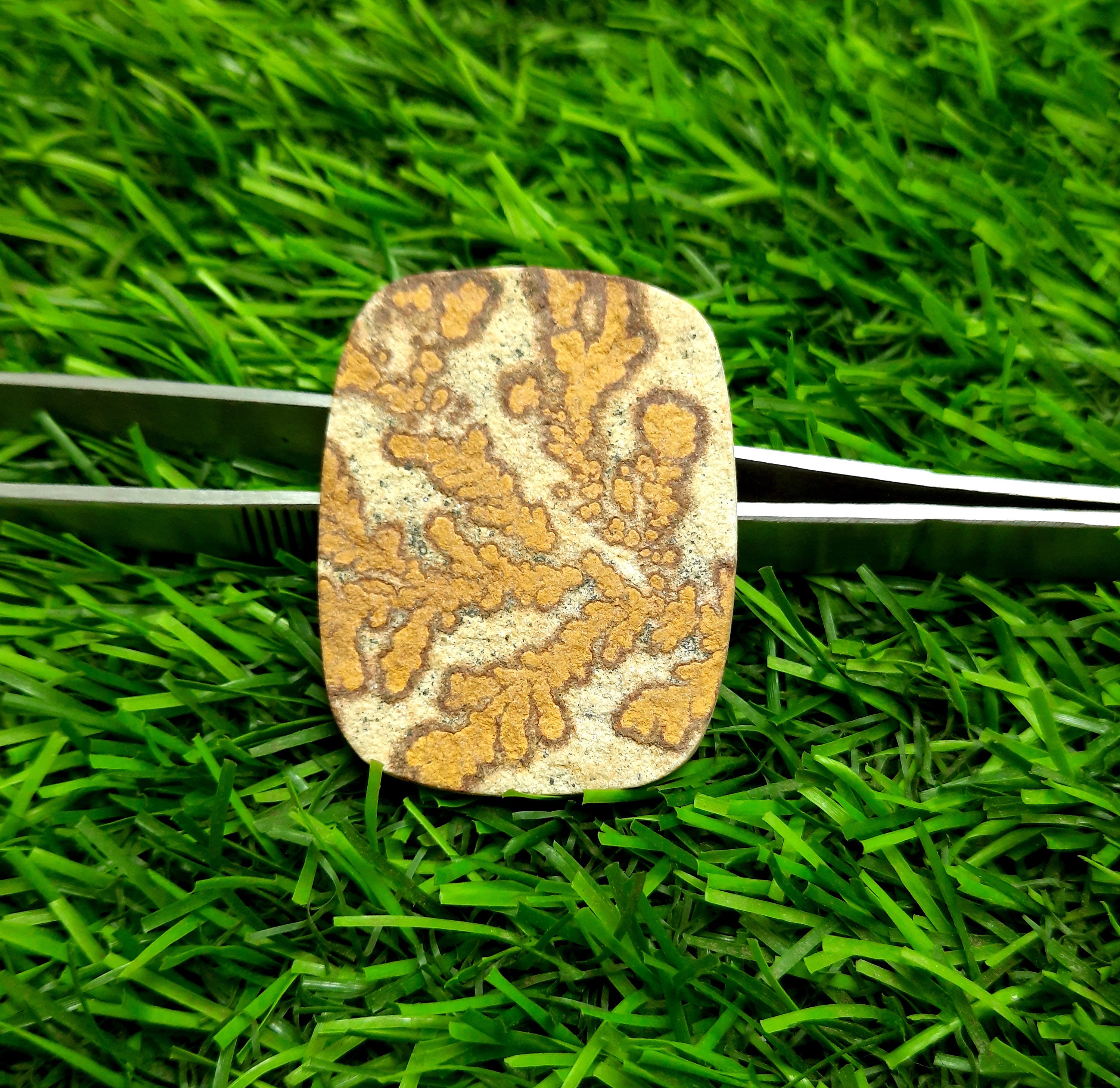 psilomelane dendrite psilomelane dendrite