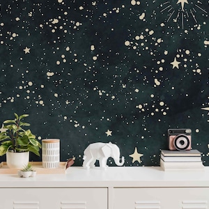 Stars on a Dark Background Mural Pill & Stick or Non Woven Space Wallpaper Starry Night Kid Room Decor Stars Night Sky Wall Art Bathroom