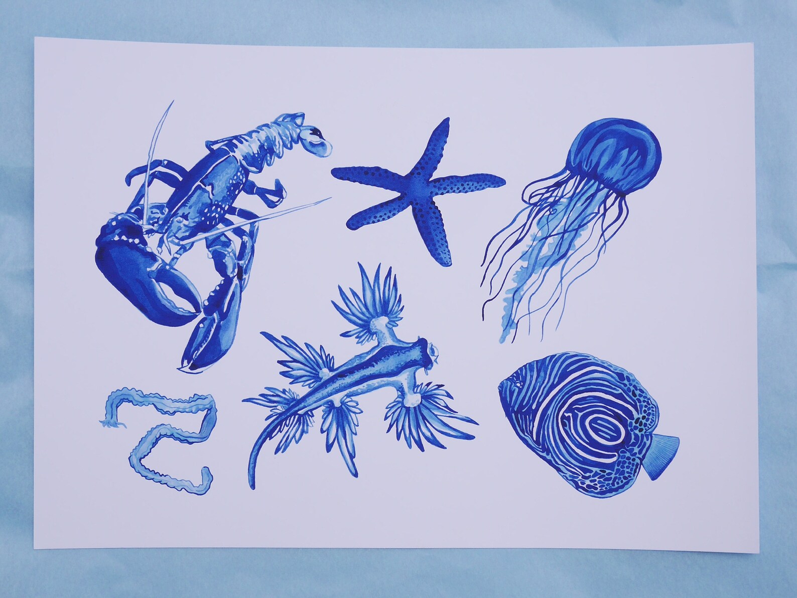 Sea Creatures Giclee Fine Art Print Blue Ink Fish Crab Sea Slug