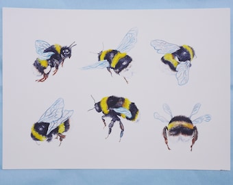 Bumble Bee Giclee Fine Art Print - Watercolour Painting -  Nature / Wildlife Illustration Art Wall Decor