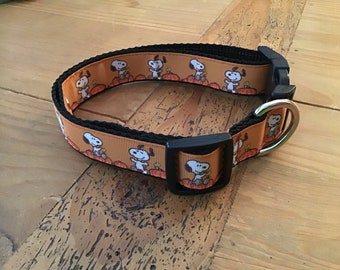 Great Pumpkin 3/4” collar