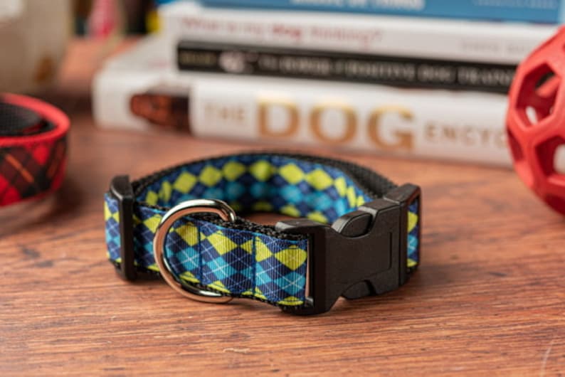 Argyle 1\u201d Dog Collar