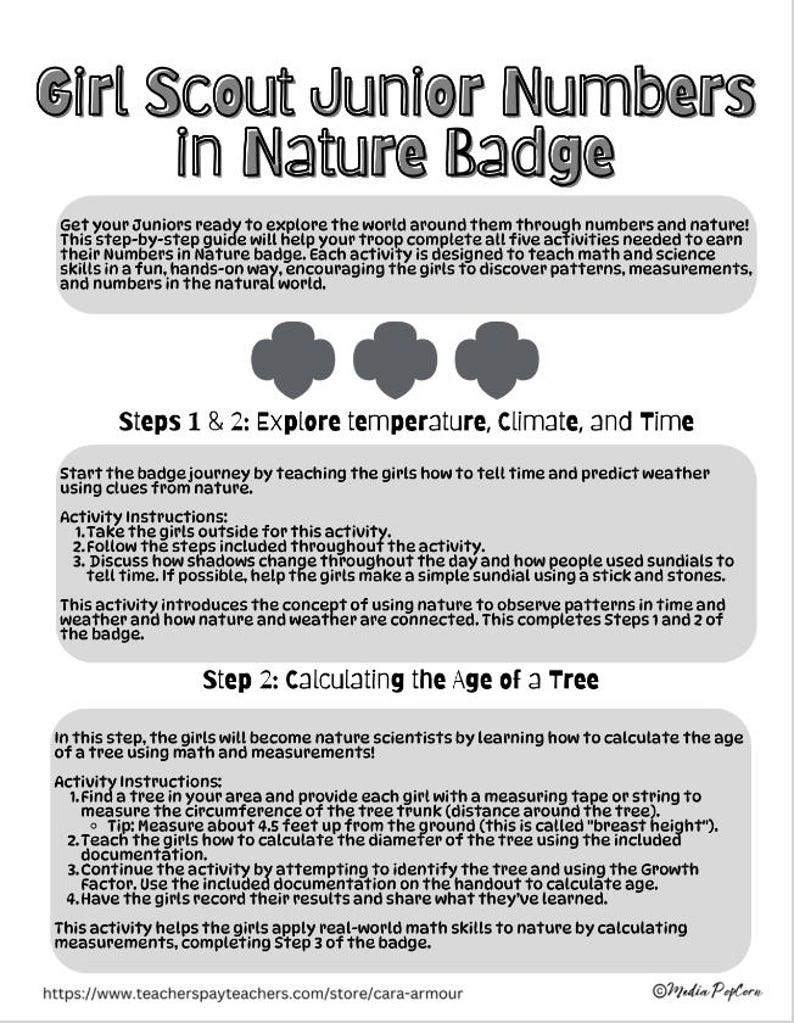 Numbers in Nature Badge Bundle for Juniors | Badgework | Scouts | Math ...