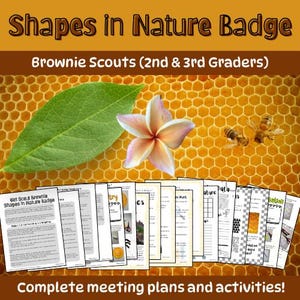 Działania związane z odznakami Brownie Shapes in Nature | Kompletny przewodnik i rzemiosło | Plan spotkania | Spotkanie Brownie | Lider skautów | Praca nad odznakami
